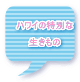 �n���C�̓��ʂ�  �������� 